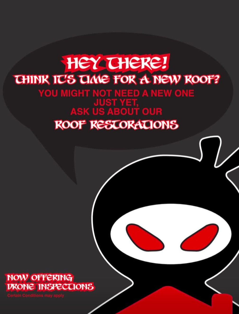 Roof Ninjas LTD